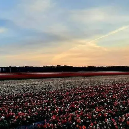 4t4 B * Egmond aan den Hoef