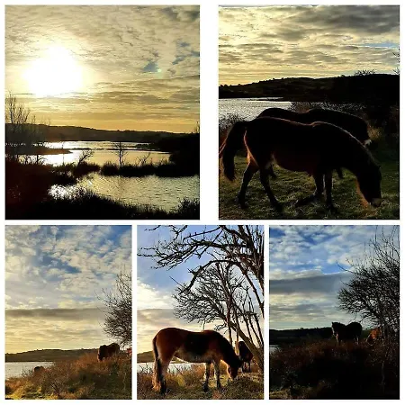 Apartamento 4t4 B Egmond aan den Hoef