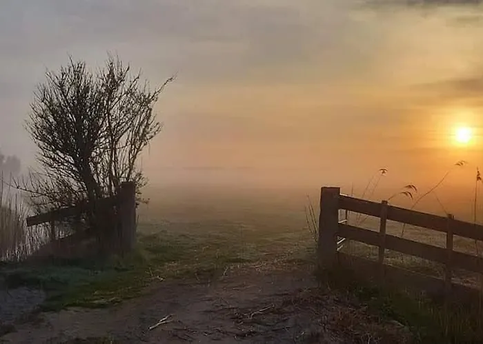 公寓 4t4 B 埃赫蒙德·安登胡夫