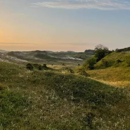 4t4 B * إغموند آن دن هوف