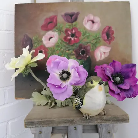 4t4 B إغموند آن دن هوف